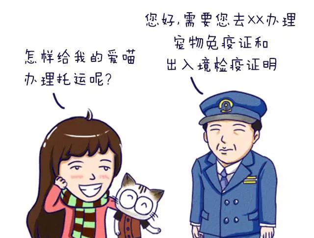 火車托運寵物_火車 托運_火車托運汽車找哪個平臺