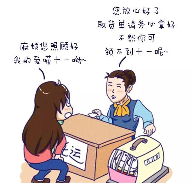 火車托運寵物_火車托運汽車找哪個平臺_火車 托運