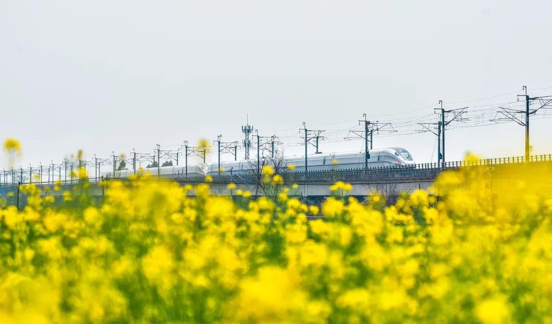 西安到齊齊哈爾火車票多少錢_西安到齊齊哈爾市火車_西安到齊齊哈爾火車