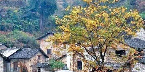 新安江自駕游_自駕游新安江路線圖_自駕游新安江現(xiàn)在能去嗎