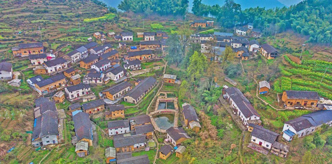 新安江自駕游_自駕游新安江路線圖_自駕游新安江現(xiàn)在能去嗎