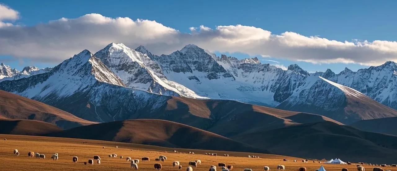 自駕西藏游什么車最合適_自駕西藏游費用大概多少_自駕游西藏