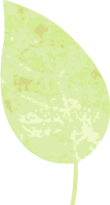 自駕游廣西路線推薦_廣西2日自駕游攻略_自駕廣西旅游攻略必去景點