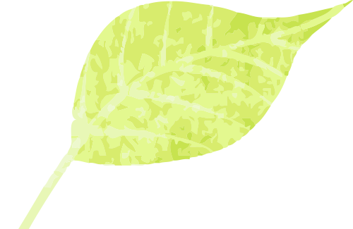 廣西2日自駕游攻略_自駕廣西旅游攻略必去景點_自駕游廣西路線推薦