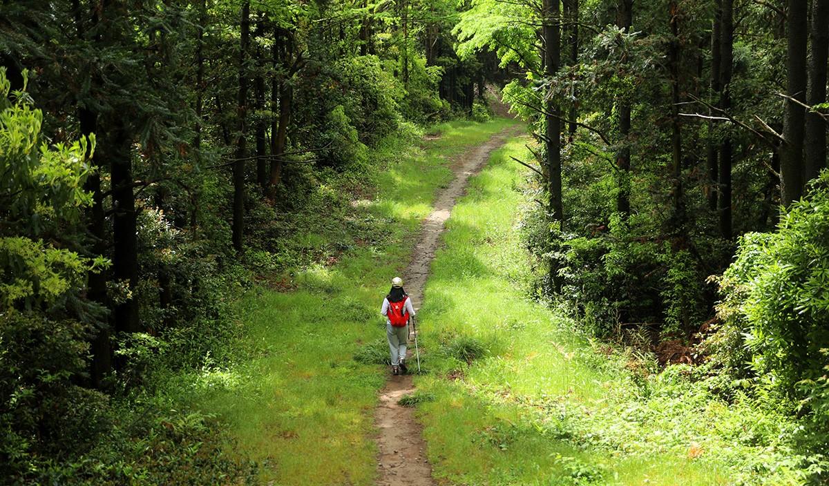 自駕寧波北侖游玩攻略_寧波北侖自駕游路線推薦_寧波北侖自駕游
