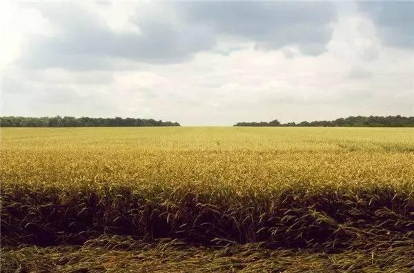 大連到莊河之間有什么好玩的_大連到莊河自駕多長(zhǎng)時(shí)間_大連到莊河自駕游攻略