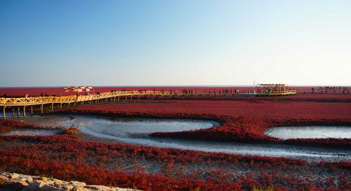 大連到莊河自駕多長(zhǎng)時(shí)間_大連到莊河自駕游攻略_大連到莊河之間有什么好玩的