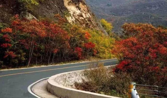 北京秋季自駕游去哪里好玩_北京周邊秋季自駕游_北京周邊秋天自駕