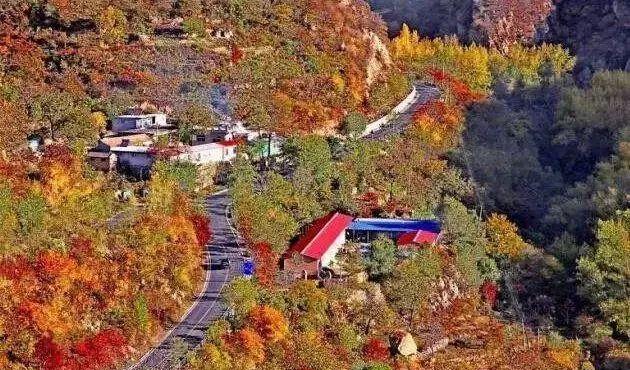 北京周邊秋天自駕_北京秋季自駕游去哪里好玩_北京周邊秋季自駕游