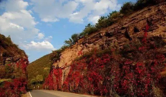 北京秋季自駕游去哪里好玩_北京周邊秋天自駕_北京周邊秋季自駕游