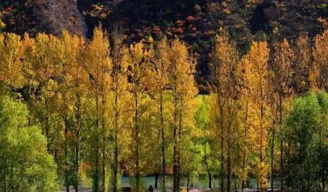 北京秋季自駕游去哪里好玩_北京周邊秋天自駕_北京周邊秋季自駕游