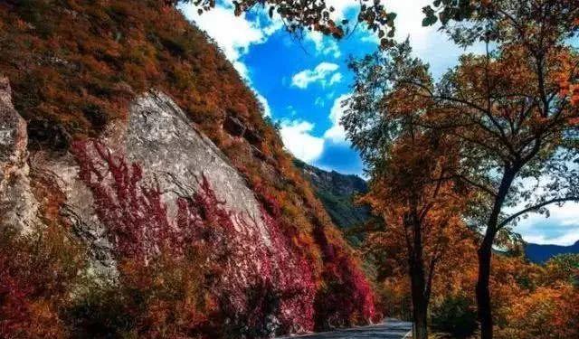 北京秋季自駕游去哪里好玩_北京周邊秋天自駕_北京周邊秋季自駕游