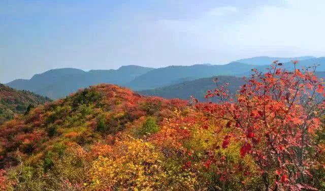 北京周邊秋季自駕游_北京周邊秋天自駕_北京秋季自駕游去哪里好玩