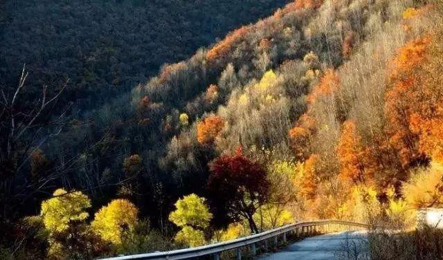 北京周邊秋天自駕_北京周邊秋季自駕游_北京秋季自駕游去哪里好玩