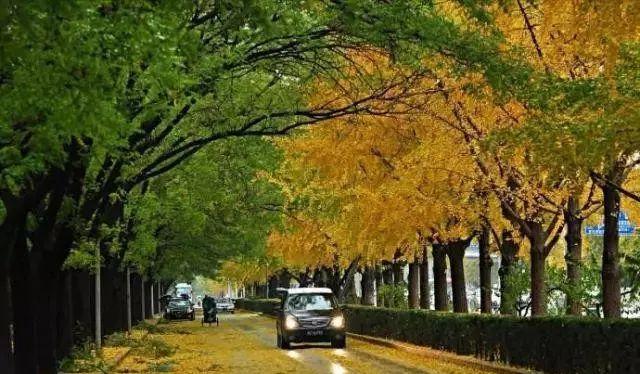 北京秋季自駕游去哪里好玩_北京周邊秋季自駕游_北京周邊秋天自駕