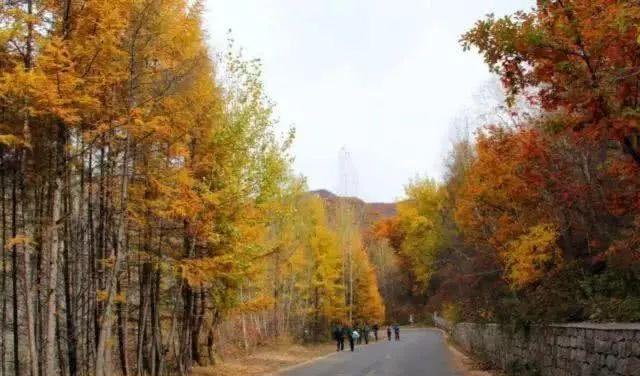 北京周邊秋季自駕游_北京秋季自駕游去哪里好玩_北京周邊秋天自駕