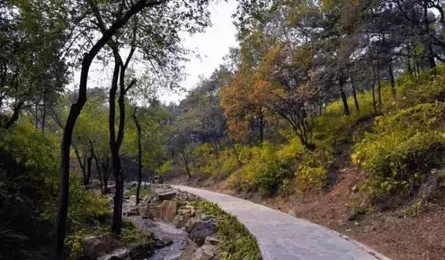 北京周邊秋天自駕_北京秋季自駕游去哪里好玩_北京周邊秋季自駕游