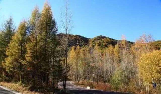 北京秋季自駕游去哪里好玩_北京周邊秋天自駕_北京周邊秋季自駕游