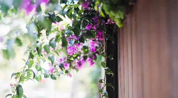 菏澤到廈門的火車_廈門到菏澤火車時刻表_廈門到菏澤火車票多少錢