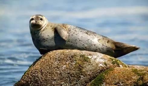 東營到北京旅游_東營到北京自駕游_北京自駕東營沿途