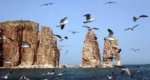 北京自駕東營沿途_東營到北京旅游_東營到北京自駕游