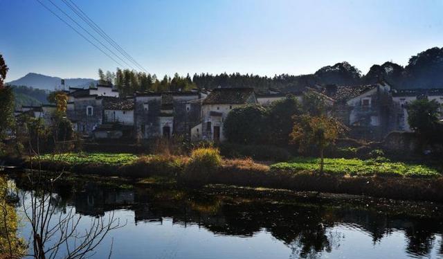 自駕游瑤有茶_湘西瑤茶_游兮瑤之圃