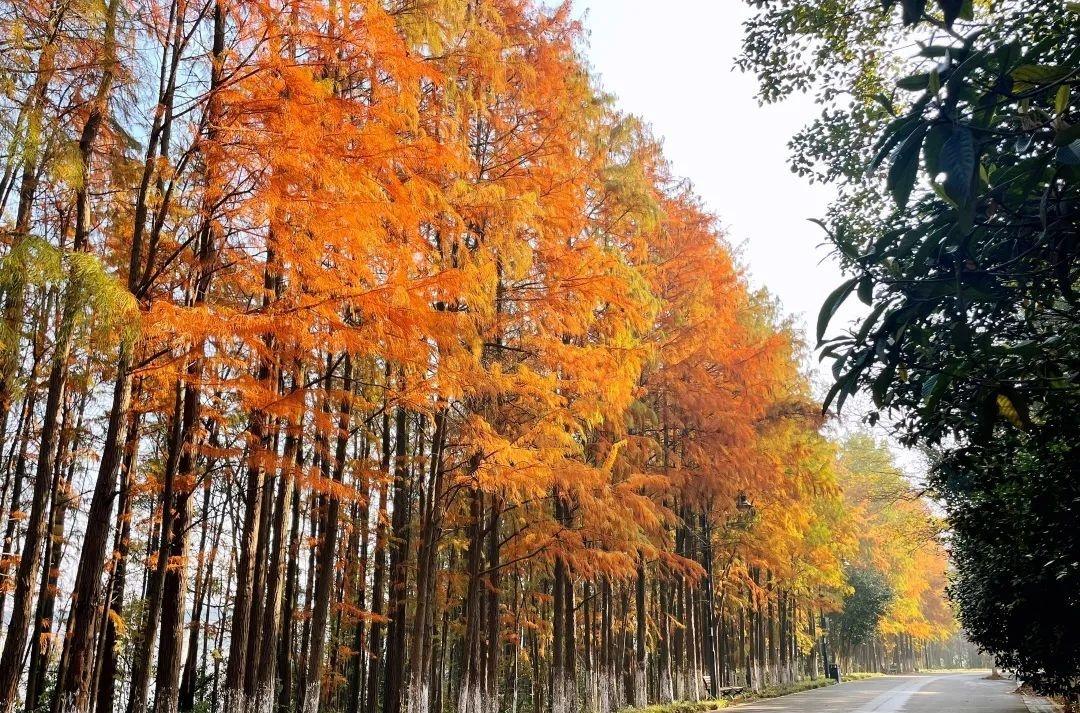 自駕游武漢周邊哪里最好玩_武漢周邊自駕_武漢周邊自駕游游