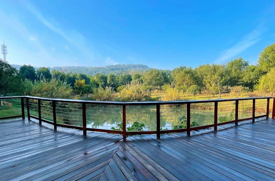 武漢周邊自駕_武漢周邊自駕游游_自駕游武漢周邊哪里最好玩