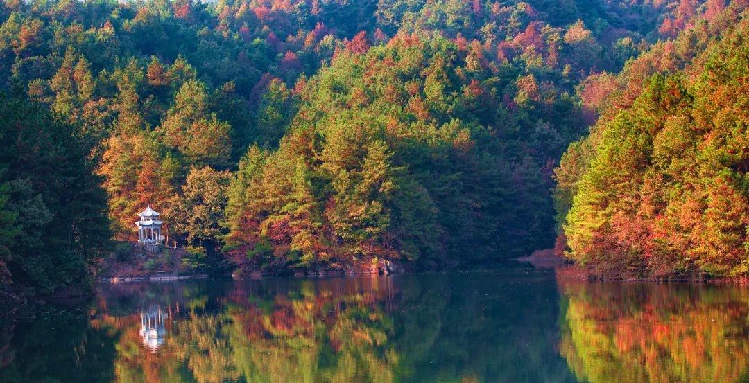 武漢周邊自駕_武漢周邊自駕游游_自駕游武漢周邊哪里最好玩