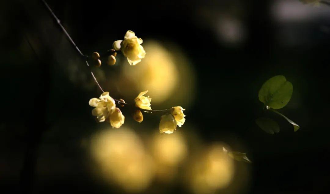 武漢周邊自駕_武漢周邊自駕游游_自駕游武漢周邊哪里最好玩