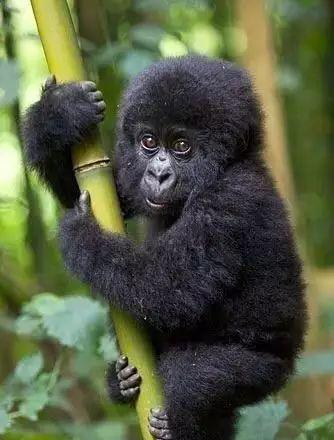 銅陵到廣州的高鐵票價查詢_銅陵到廣州的火車_廣州到銅陵的火車