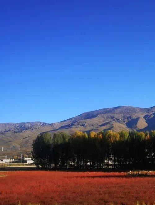 雅安到稻城亞丁自駕游_雅安到稻城亞丁自駕游攻略_雅安到稻城亞丁開車多遠