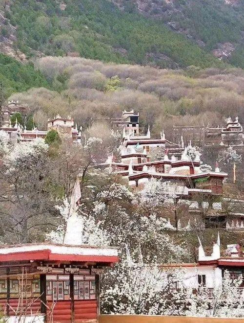 雅安到稻城亞丁開車多遠_雅安到稻城亞丁自駕游攻略_雅安到稻城亞丁自駕游