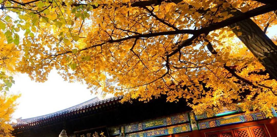 紅螺寺自駕游_紅螺寺游玩朋友圈說說_自駕紅螺寺路況