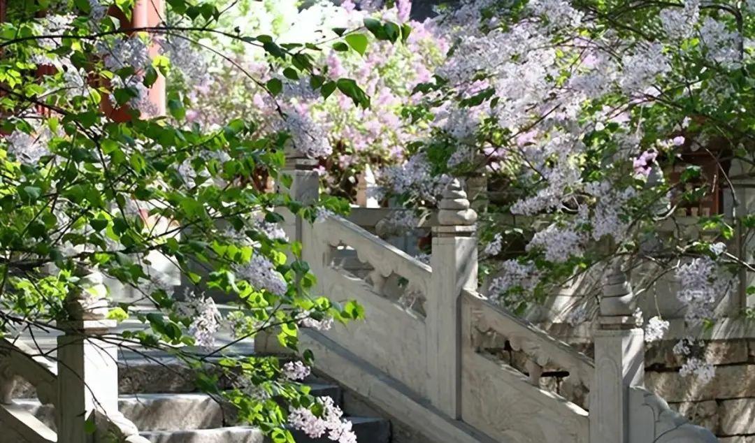 紅螺寺自駕游_自駕紅螺寺路況_紅螺寺游玩朋友圈說說