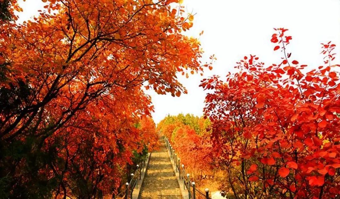 自駕紅螺寺路況_紅螺寺游玩朋友圈說說_紅螺寺自駕游