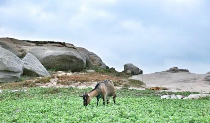 塘嶼島自駕游_塘嶼島旅游攻略_去塘嶼島二日游要帶什么東西