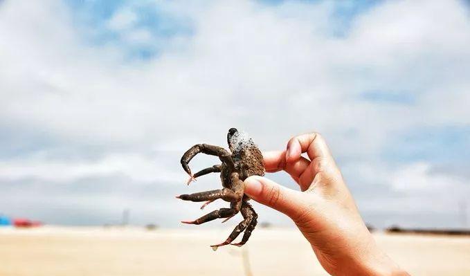塘嶼島自駕游_去塘嶼島二日游要帶什么東西_塘嶼島旅游攻略