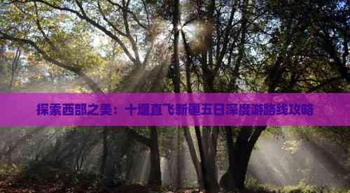 探索西部之美:十堰直飛新疆五日深度游路線攻略