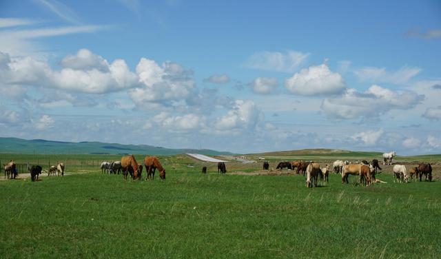 北京到張北草原自駕游_北京自駕張北草原路線_北京到張北草原自駕游攻略