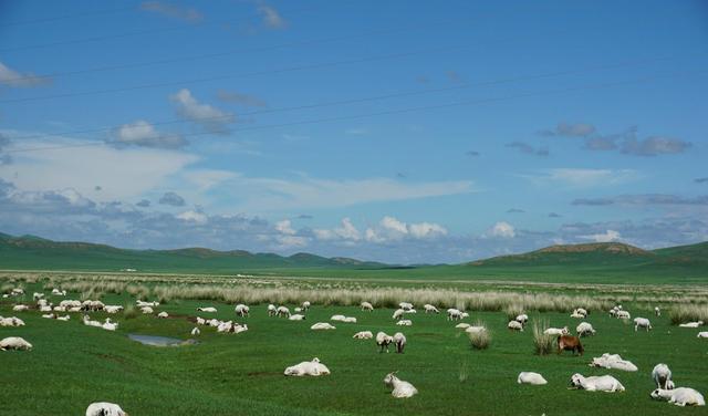 北京到張北草原自駕游_北京到張北草原自駕游攻略_北京自駕張北草原路線