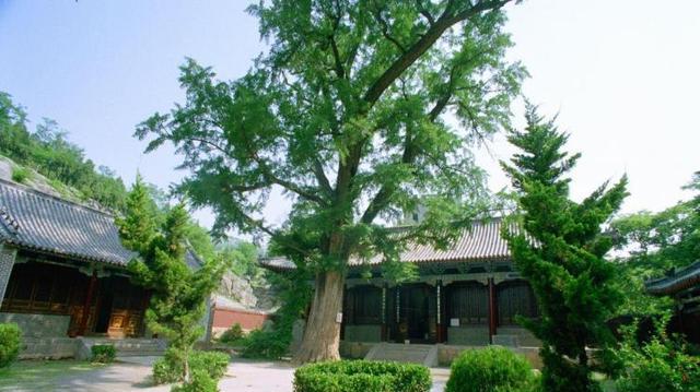 棗莊市周邊自駕游_棗莊周邊自駕游二日游_棗莊周邊自駕游景點