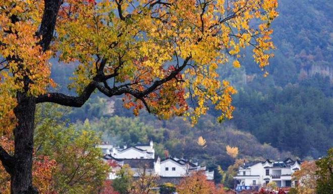 武漢去天堂寨_武漢自駕天堂寨2日游_武漢天堂寨自駕游