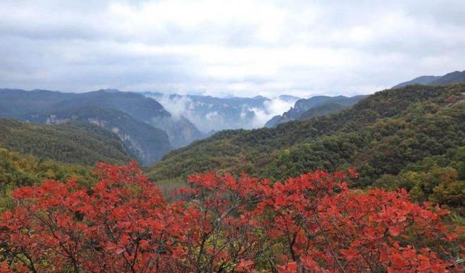 武漢去天堂寨_武漢天堂寨自駕游_武漢自駕天堂寨2日游