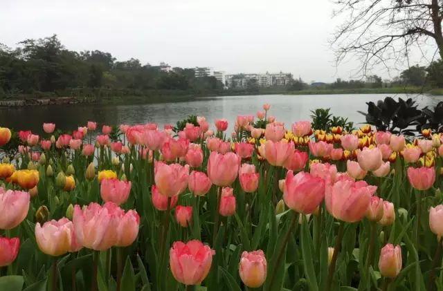 長沙自駕到廣州沿途景點(diǎn)_長沙到廣州最佳自駕游_長沙廣州自駕游攻略