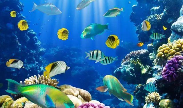 長沙自駕到廣州沿途景點(diǎn)_長沙到廣州最佳自駕游_長沙廣州自駕游攻略