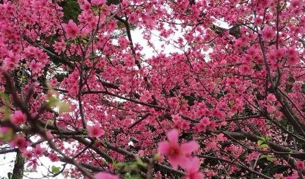 長沙自駕到廣州沿途景點(diǎn)_長沙廣州自駕游攻略_長沙到廣州最佳自駕游