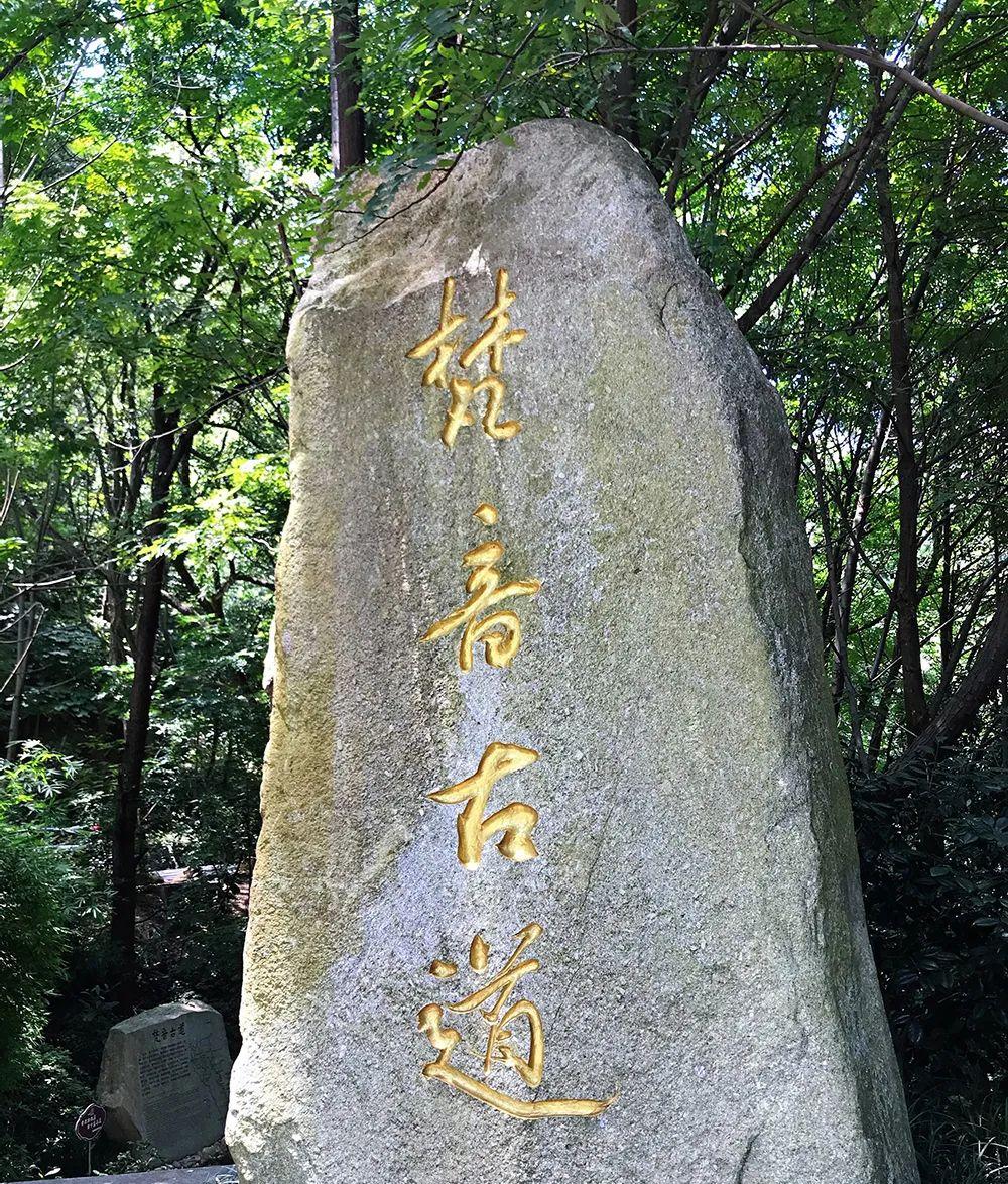 長沙到廣州最佳自駕游_長沙自駕游廣州最佳路線_長沙自駕廣州沿途攻略