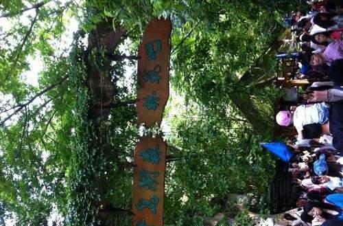 BMW 7系駕馭未來 自駕游之千島湖 圓滿成功