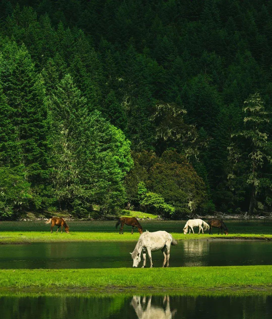 長沙自駕廣州景點_長沙自駕廣州沿途攻略_長沙到廣州最佳自駕游